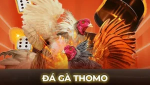 da ga thomo 1