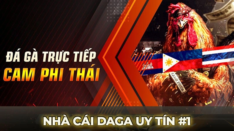 Giới thiệu tổng quan về nhà cái Daga uy tín