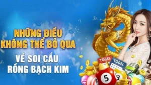 Một số thông tin về Soi cầu rồng bạch kim